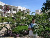 ������ ����� ����