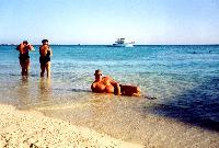 ���������� �������