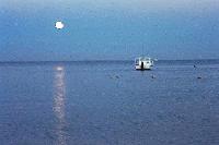 ������ �������