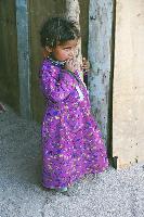 ���� �������