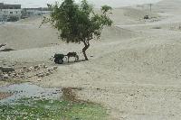 �� ���� � ���....