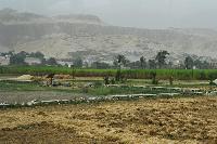 � ������� ����