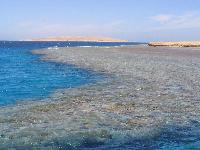 ���� � �������