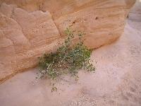 ����� � ������