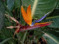 ������ � �����