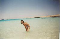 �������. ���������� ����