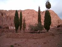 ����� �� ���� � ���� ������