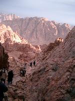 ���������� ����