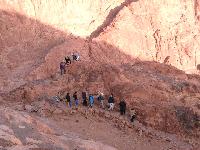 ������� �������