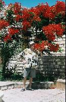 �������, �������