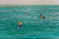 �������, ���������� ����