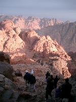 ���� ���