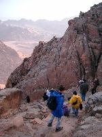 ���� �� ������