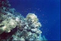 � ����� � ��������