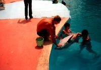 � ����������� ����, ��� �������� Aida Hotel