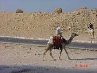 ������ ����� �������2