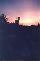 ������ ������ 2004�.