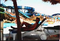 ������� �������� "�������"