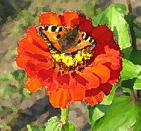 ���������� �� �������� ����