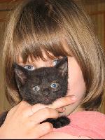 ��� �������