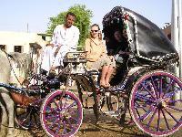 "���������� �����"