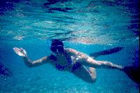 ���������� �������