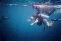 � ������ �� ���������