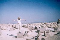 � �������