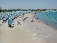 ���� ����� �����