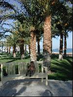 ����� �����