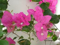 �������� ������