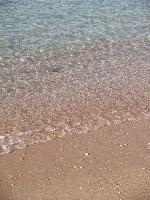 �����,  ����...