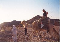 ������� :-)