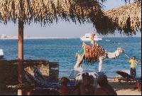 ��� �� ������� ����