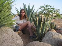 ���� ���� � �, ����