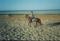 ������� � ������