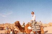 ������ ��������