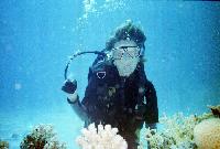 ��� �������