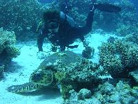 � � ���������