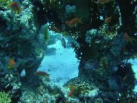 ���� � ���