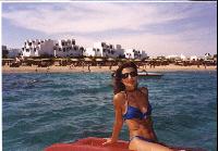 �������/��������