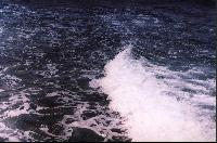 ���� � ���� ��� ����