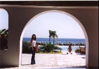 �������/��������