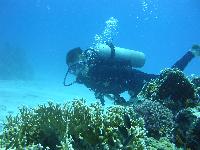 � ��� ��� ���