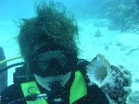 � ���������