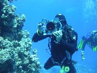 ����������