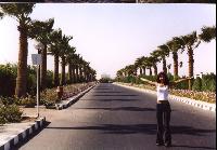 �������/��������