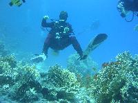 ���-�� ������