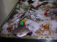 ������������...