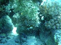 ������ �������� ��������!